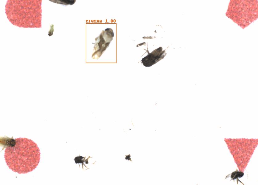 Fullscreen Image