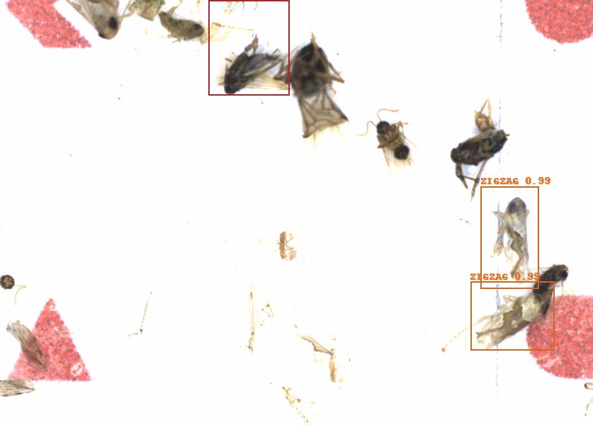 Fullscreen Image
