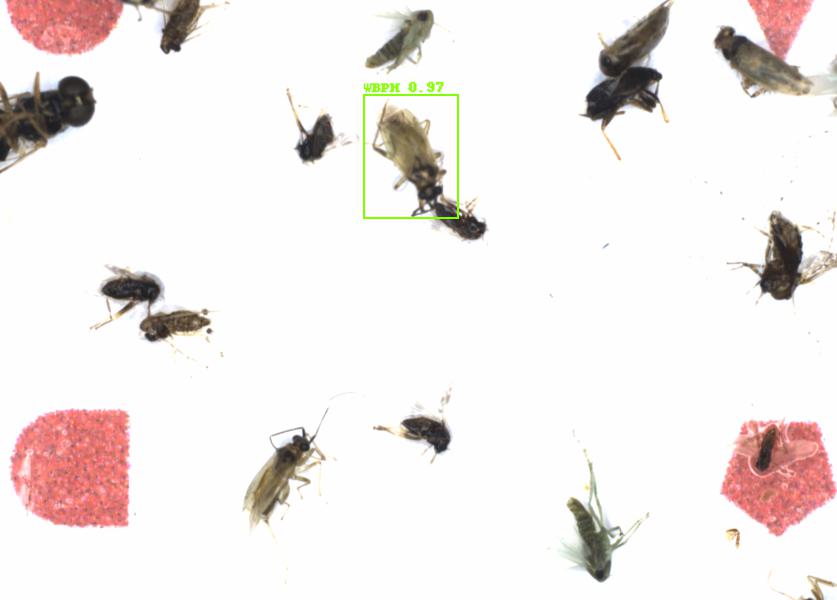 Fullscreen Image