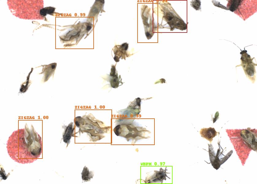 Fullscreen Image