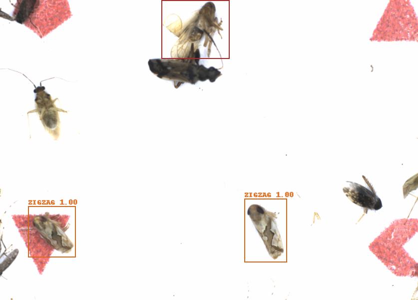 Fullscreen Image
