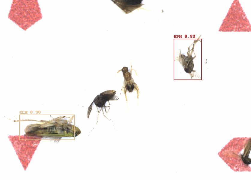 Fullscreen Image