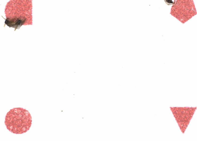 Fullscreen Image