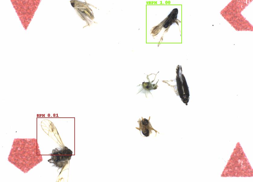 Fullscreen Image