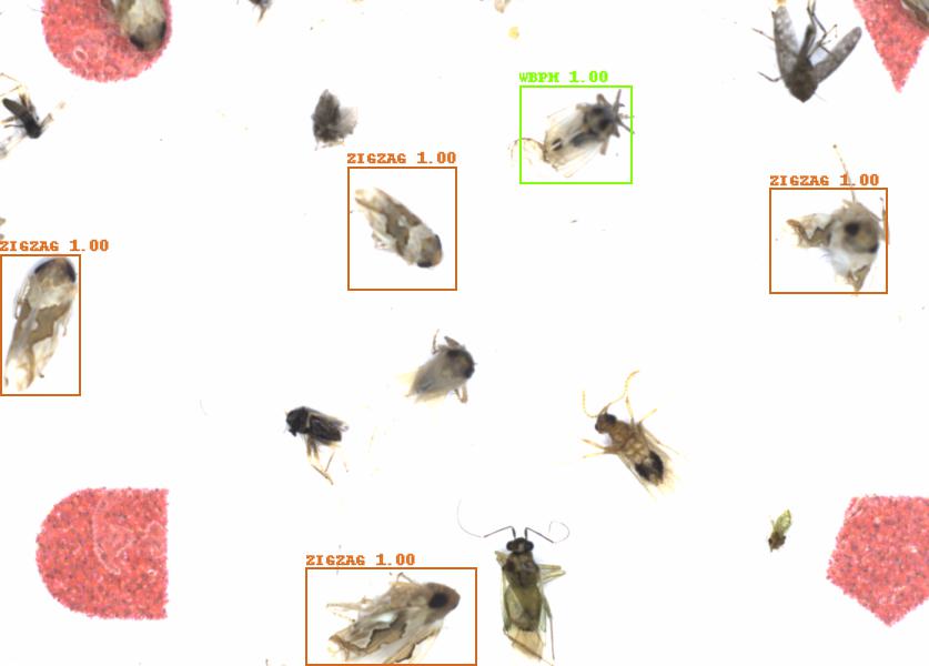 Fullscreen Image
