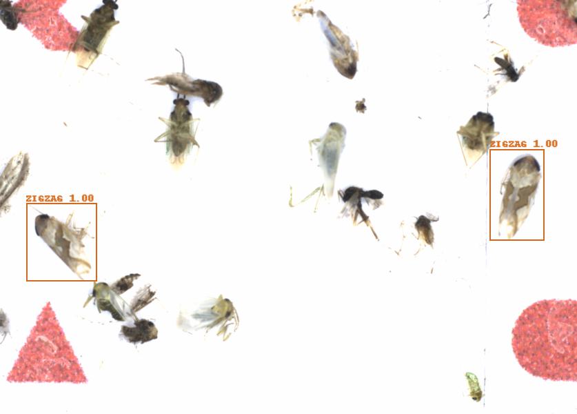 Fullscreen Image