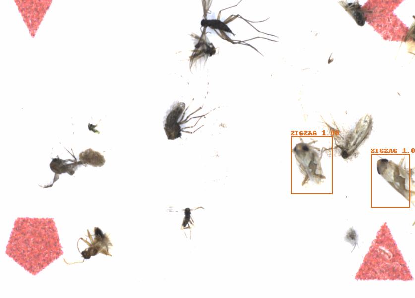 Fullscreen Image
