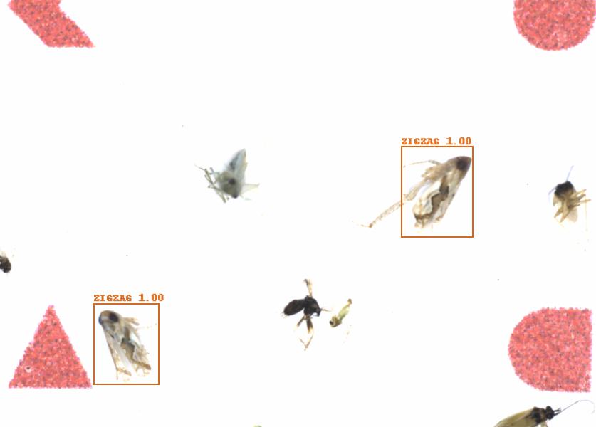 Fullscreen Image