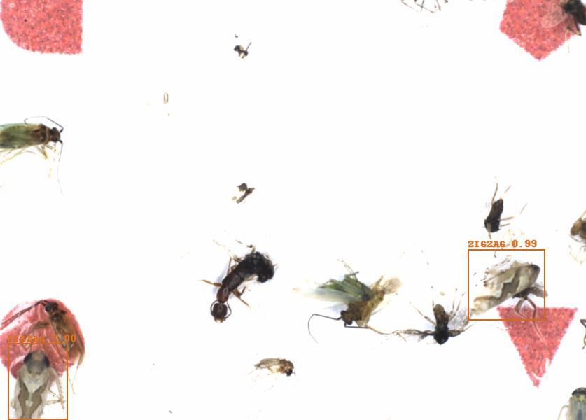 Fullscreen Image