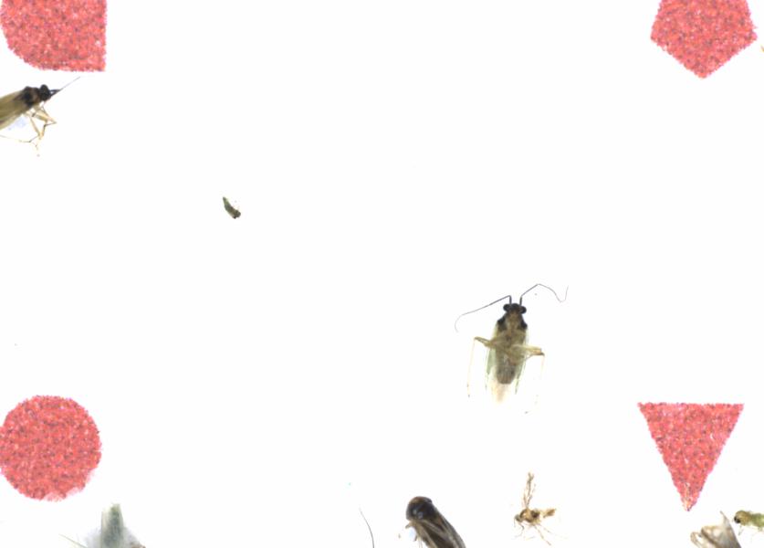 Fullscreen Image