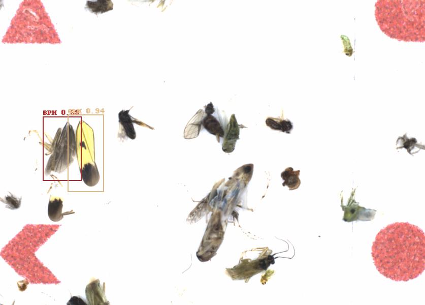 Fullscreen Image