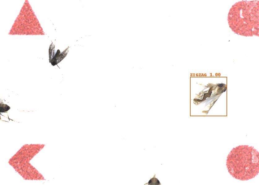Fullscreen Image