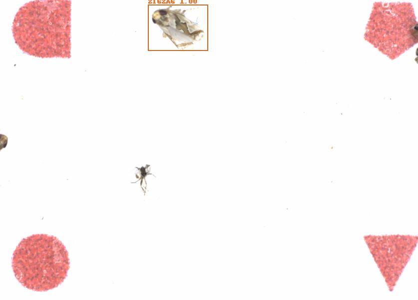 Fullscreen Image