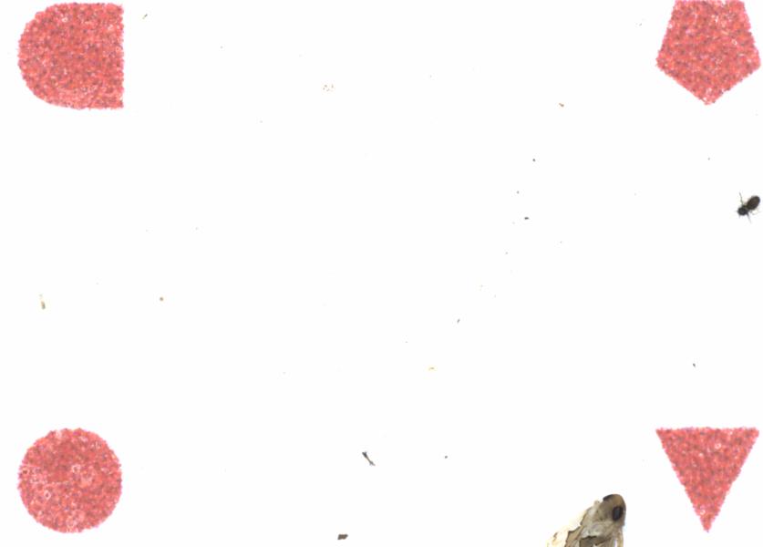 Fullscreen Image
