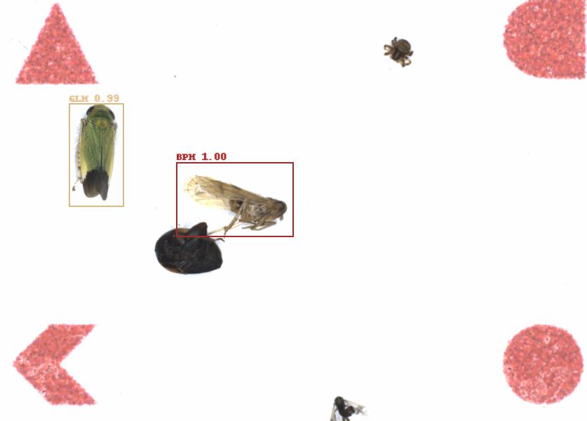 Fullscreen Image