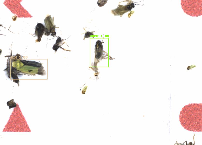 Fullscreen Image