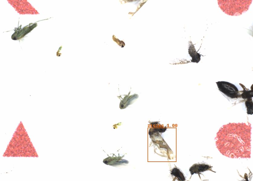 Fullscreen Image