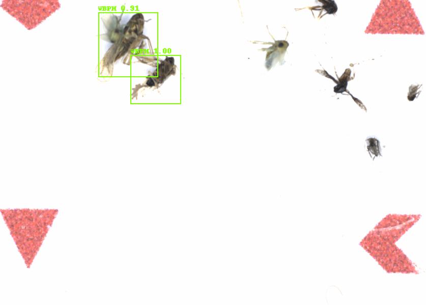 Fullscreen Image