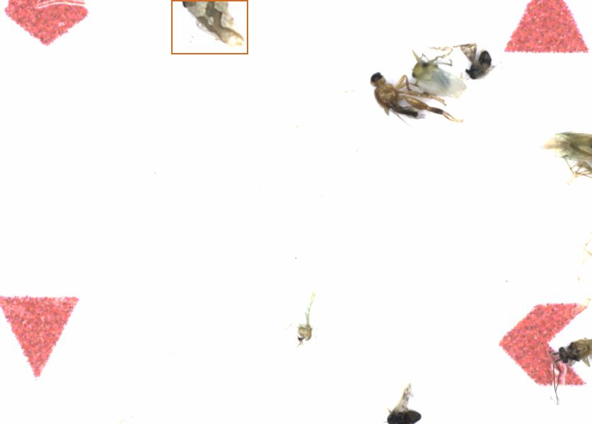 Fullscreen Image