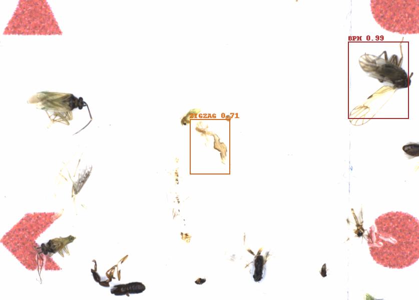 Fullscreen Image