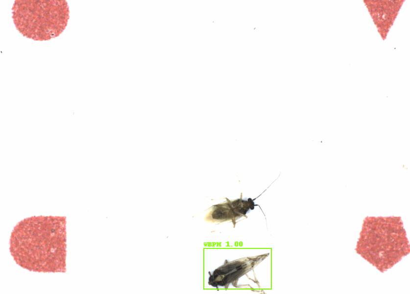 Fullscreen Image
