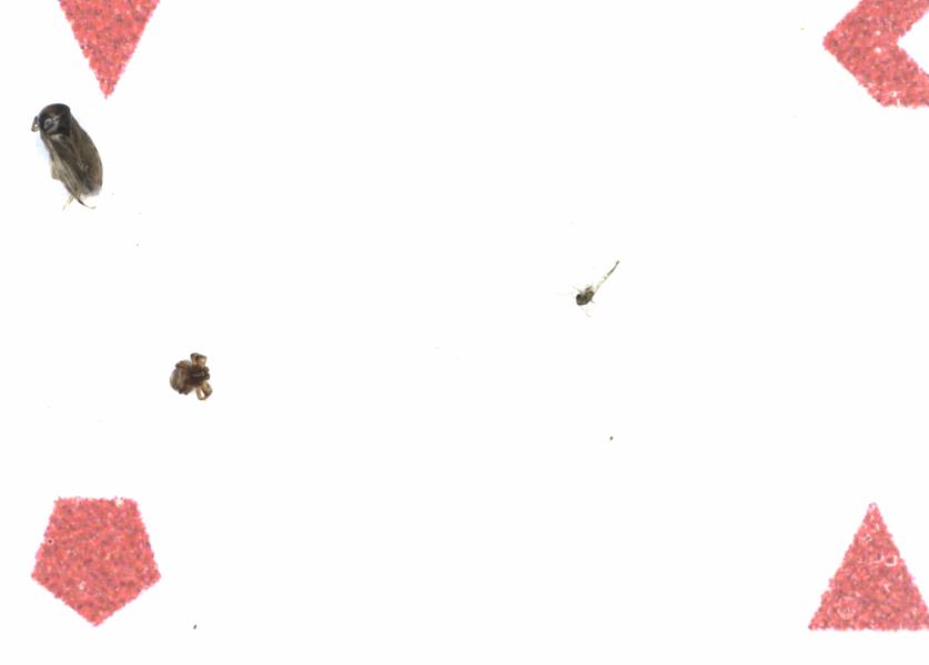 Fullscreen Image