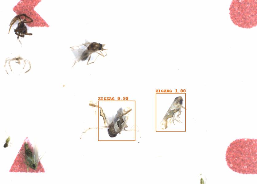 Fullscreen Image