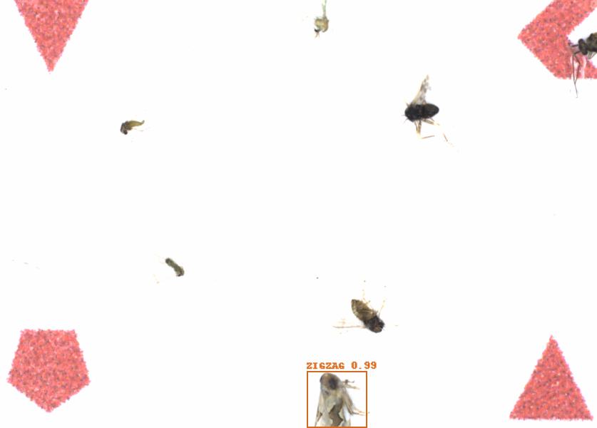 Fullscreen Image