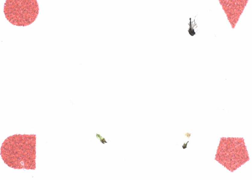 Fullscreen Image