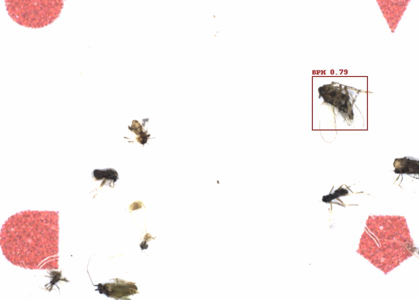 Fullscreen Image