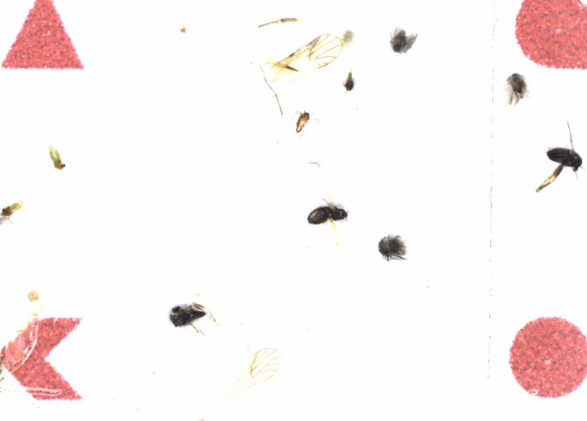 Fullscreen Image