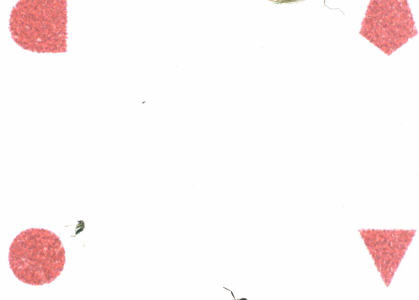 Fullscreen Image