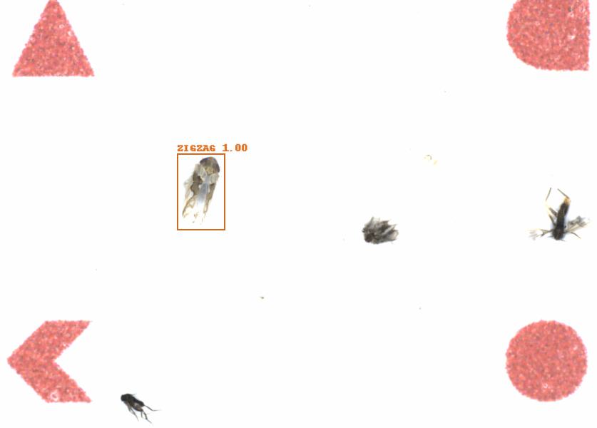 Fullscreen Image