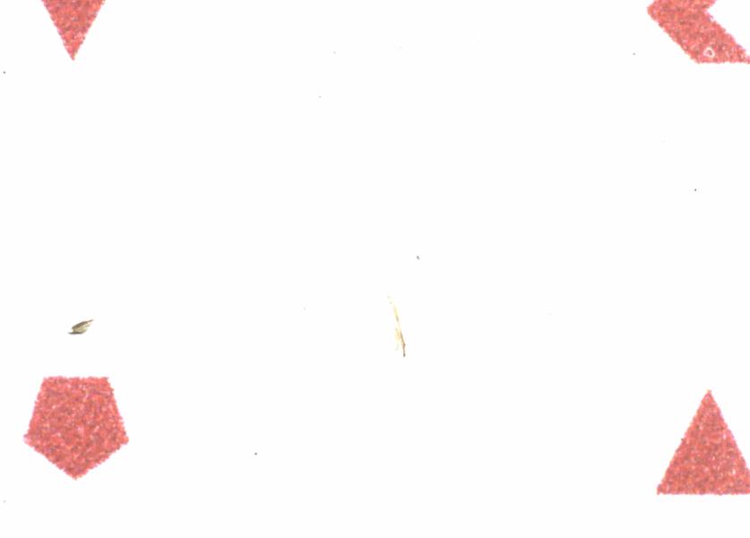 Fullscreen Image