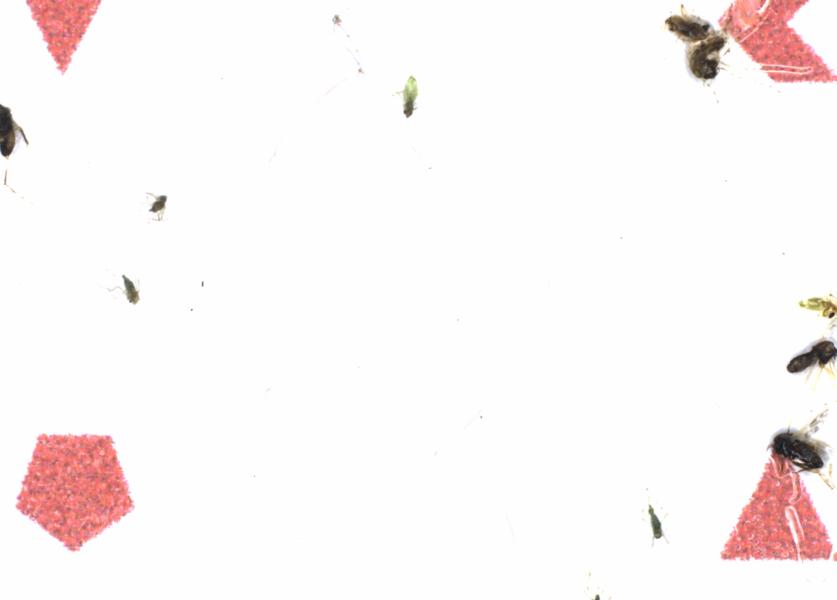 Fullscreen Image