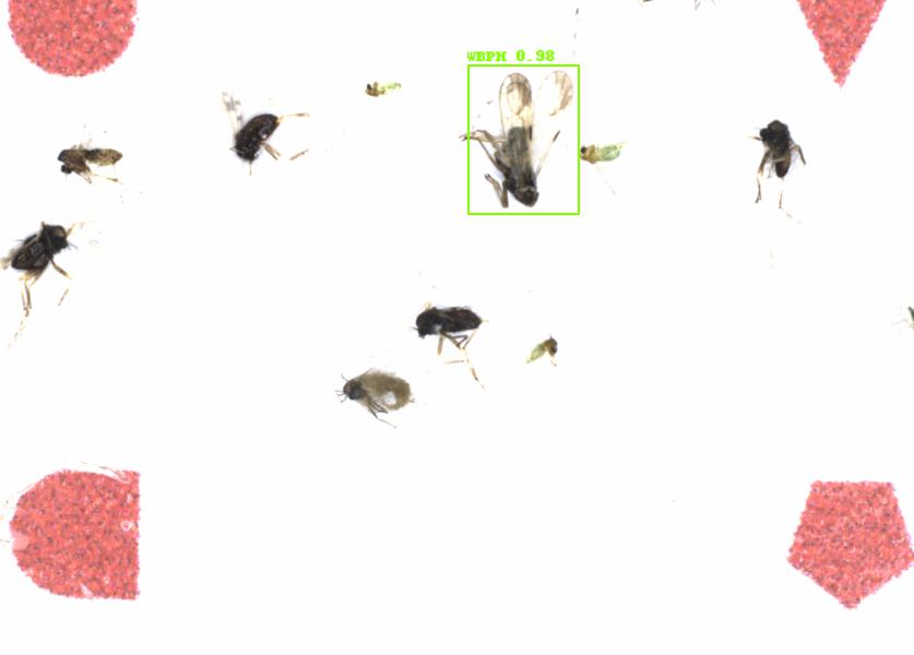 Fullscreen Image