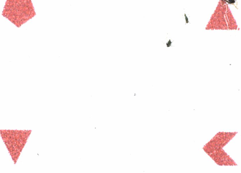 Fullscreen Image