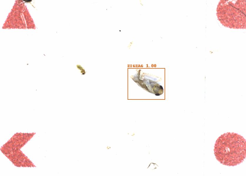 Fullscreen Image
