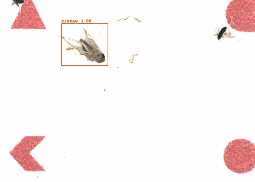 Fullscreen Image