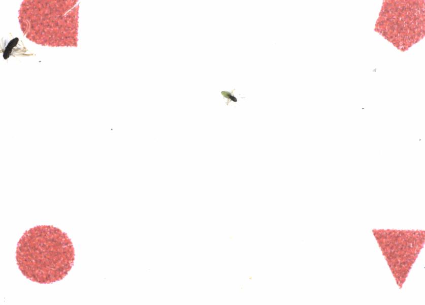 Fullscreen Image
