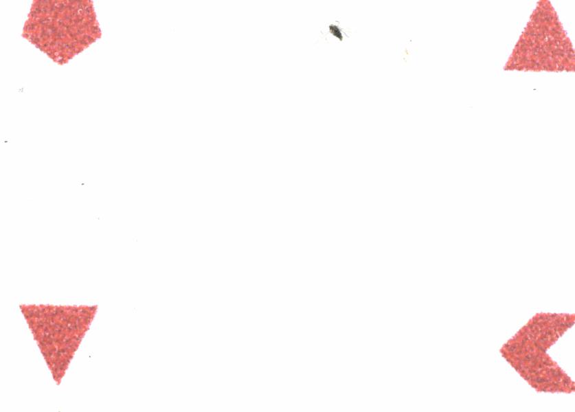 Fullscreen Image