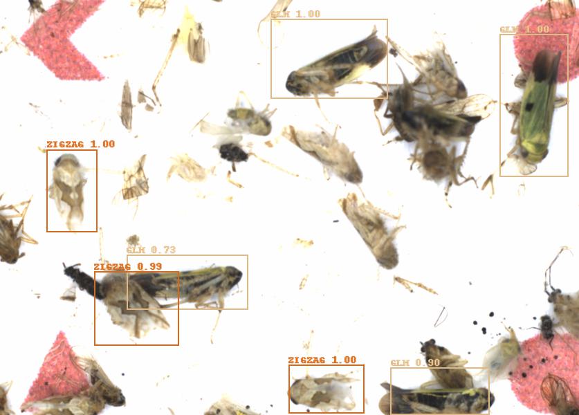 Fullscreen Image