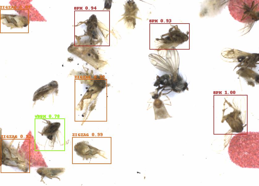 Fullscreen Image
