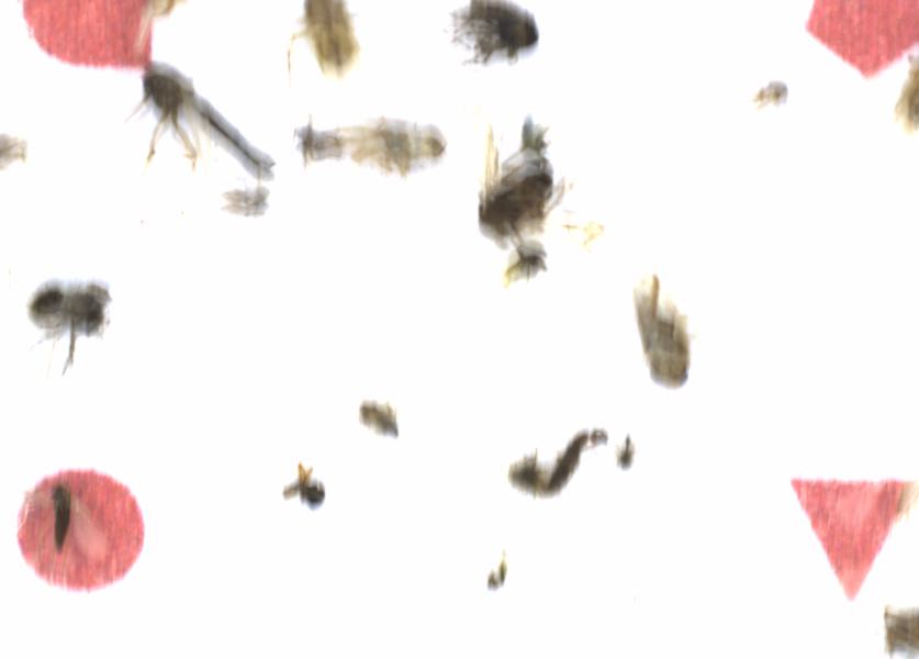 Fullscreen Image