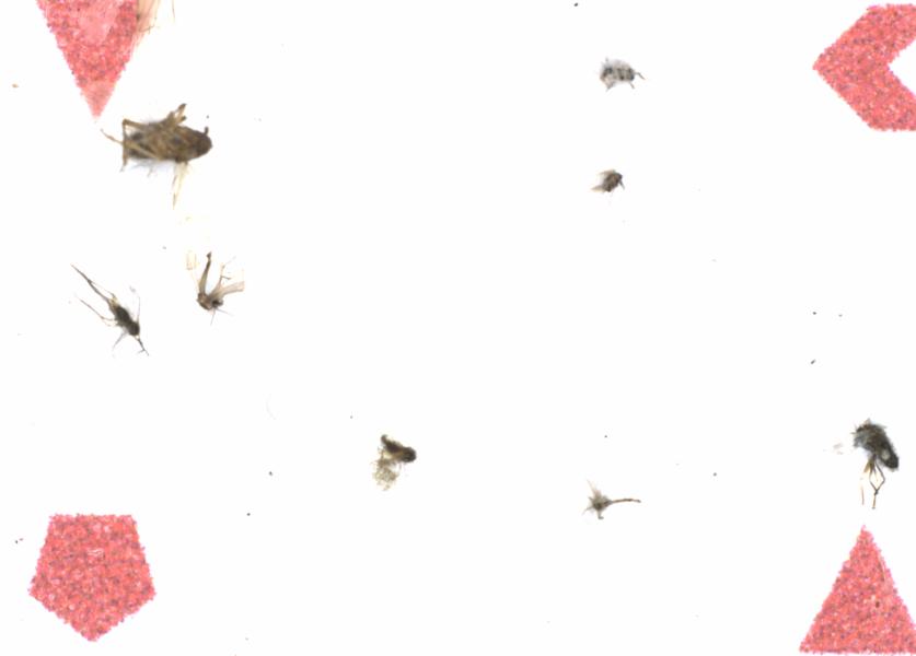 Fullscreen Image