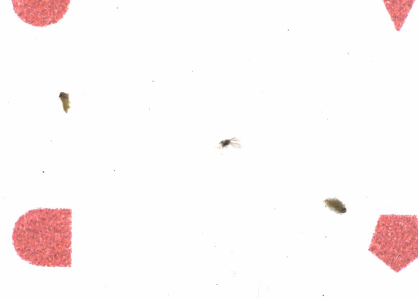Fullscreen Image
