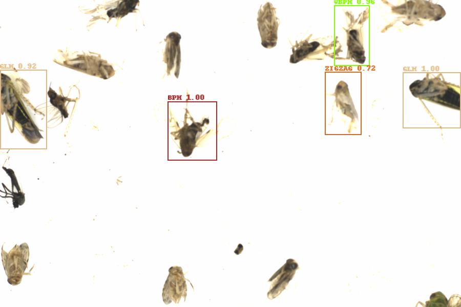 Fullscreen Image