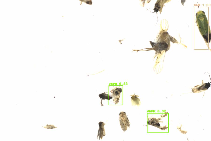 Fullscreen Image