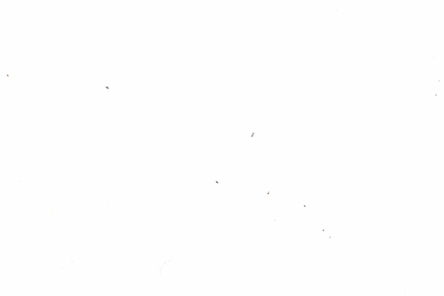 Fullscreen Image
