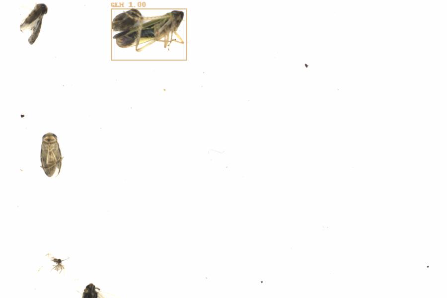 Fullscreen Image